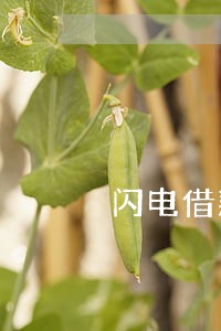 闪电借款逾期几天打联系人 闪电借款逾期几天打联系人