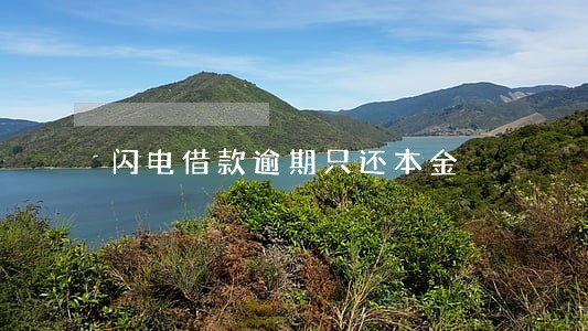 闪电借款逾期只还本金 闪电借款逾期只还本金