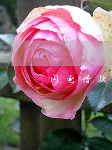 闪电借款逾期可以分期吗