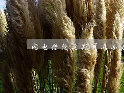 闪电借款逾期可以办房贷吗 闪电借款逾期可以办房贷吗