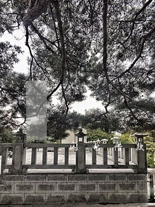 闪电借款逾期可以协商开通吗 闪电借款逾期可以协商开通吗