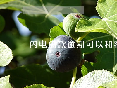 闪电借款逾期可以和客服协商吗 闪电借款逾期可以和客服协商吗