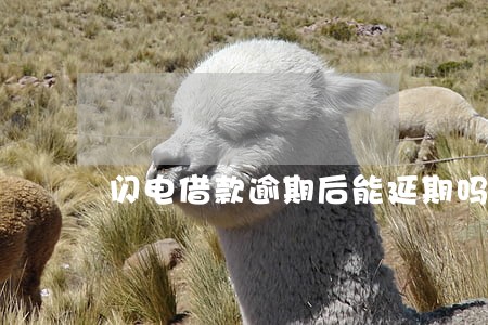 闪电借款逾期后能延期吗 闪电借款逾期后能延期吗