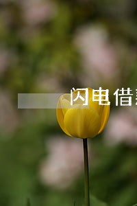 闪电借款逾期后还款还能用吗 闪电借款逾期后还款还能用吗