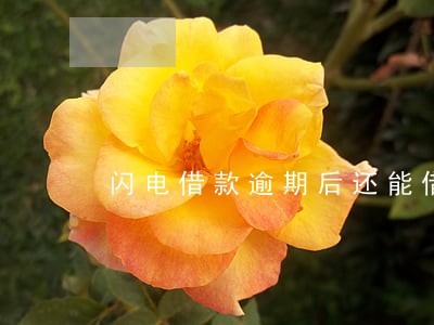 闪电借款逾期后还能借