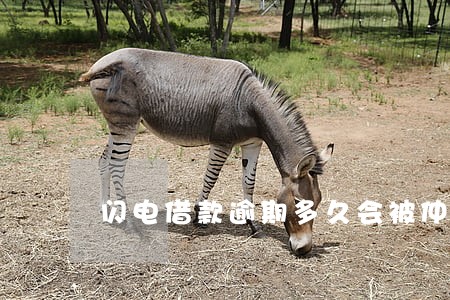 闪电借款逾期多久会被仲裁 闪电借款逾期多久会被仲裁
