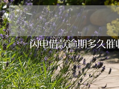 闪电借款逾期多久催收 闪电借款逾期多久催收