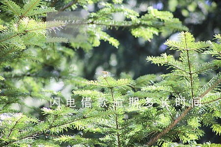 闪电借款逾期多长时间 闪电借款逾期多长时间