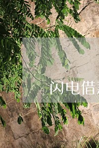 闪电借款逾期多长时间会上征信 闪电借款逾期多长时间会上征信
