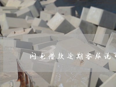 闪电借款逾期客服说可以申请分期 闪电借款逾期客服说可以申请分期