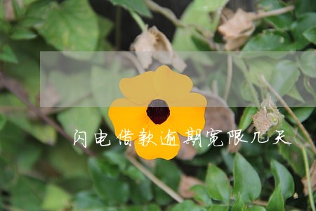 闪电借款逾期宽限几天 闪电借款逾期宽限几天