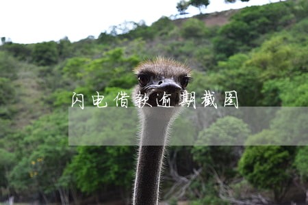 闪电借款逾期截图 闪电借款逾期截图