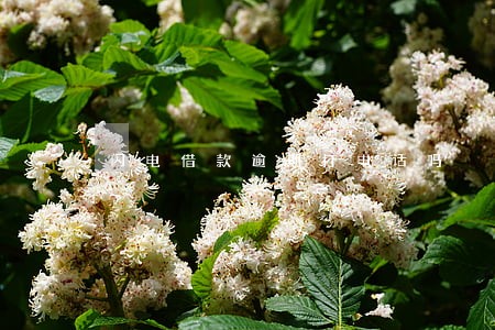 闪电借款逾期打电话吗 闪电借款逾期打电话吗