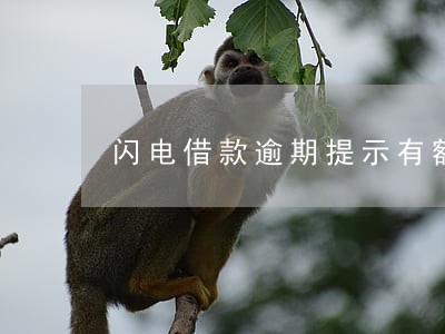 闪电借款逾期提示有额度