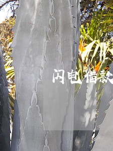 闪电借款逾期收费 闪电借款逾期收费