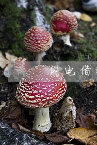 闪电借款逾期是否合法 闪电借款逾期是否合法