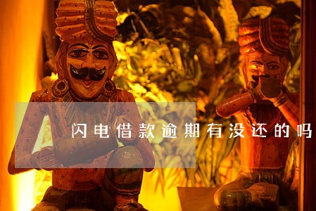 闪电借款逾期有没还的吗