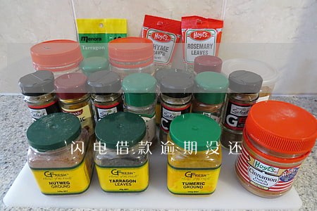 闪电借款逾期没还 闪电借款逾期没还