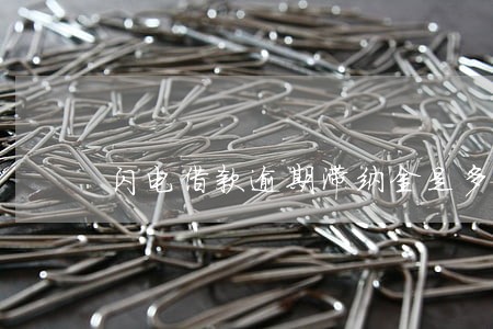 闪电借款逾期滞纳金是多少 闪电借款逾期滞纳金是多少