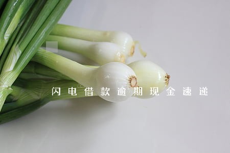 闪电借款逾期现金速递 闪电借款逾期现金速递