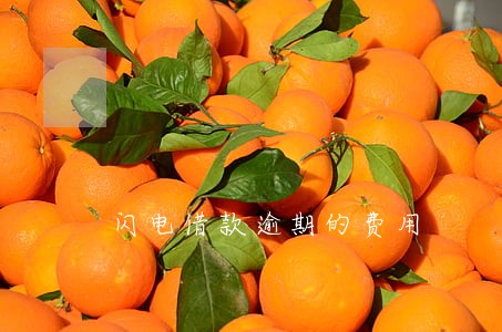 闪电借款逾期的费用 闪电借款逾期的费用