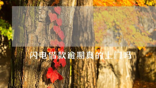 闪电借款逾期真的上门吗 闪电借款逾期真的上门吗