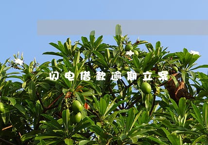 闪电借款逾期立案 闪电借款逾期立案