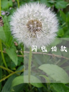 闪电借款逾期第四天