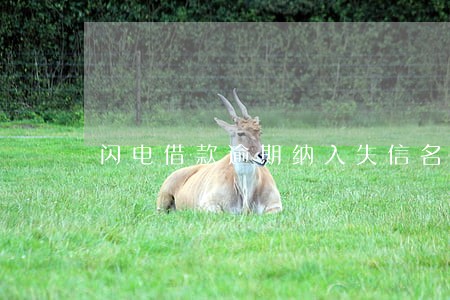闪电借款逾期纳入失信名单 闪电借款逾期纳入失信名单