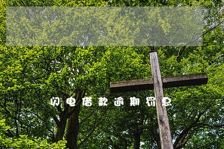 闪电借款逾期罚息