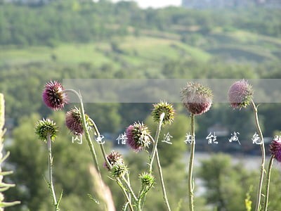 闪电借款逾期能减免吗