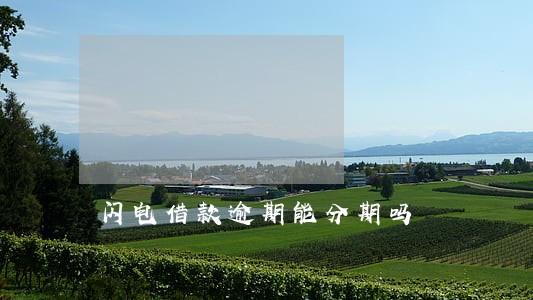 闪电借款逾期能分期吗 闪电借款逾期能分期吗