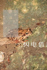 闪电借款逾期能分期还 闪电借款逾期能分期还