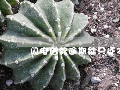 闪电借款逾期能只还本金吗 闪电借款逾期能只还本金吗