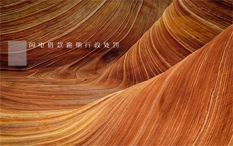 闪电借款逾期行政处罚 闪电借款逾期行政处罚