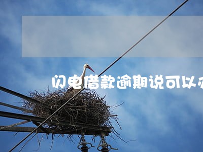 闪电借款逾期说可以办分期