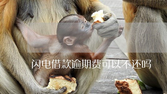 闪电借款逾期费可以不还吗 闪电借款逾期费可以不还吗