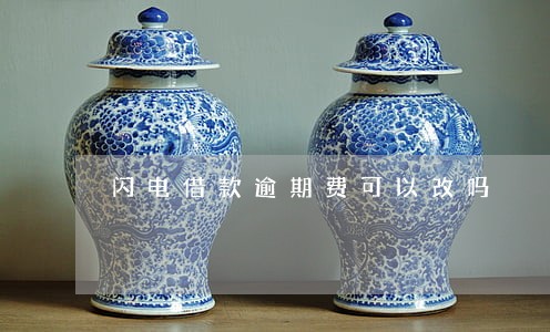 闪电借款逾期费可以改吗 闪电借款逾期费可以改吗