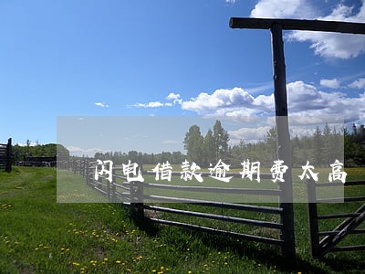 闪电借款逾期费太高 闪电借款逾期费太高