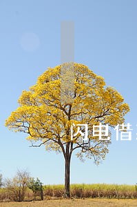 闪电借款逾期费怎么 闪电借款逾期费怎么
