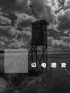 闪电借款逾期费用不给 闪电借款逾期费用不给