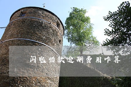 闪电借款逾期费用咋算 闪电借款逾期费用咋算
