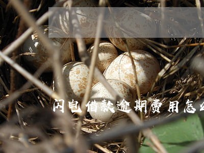 闪电借款逾期费用怎么算 闪电借款逾期费用怎么算