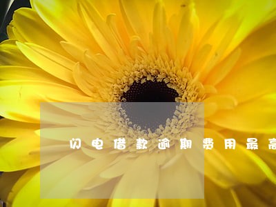 闪电借款逾期费用最高 闪电借款逾期费用最高