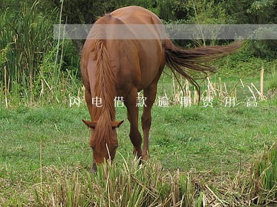 闪电借款逾期费用高 闪电借款逾期费用高
