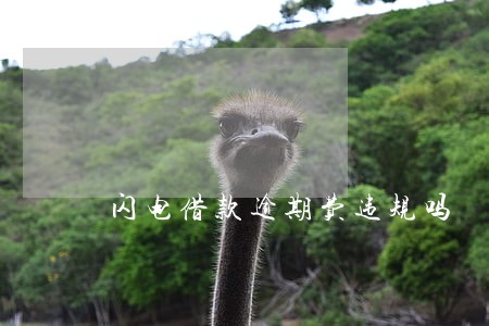 闪电借款逾期费违规吗