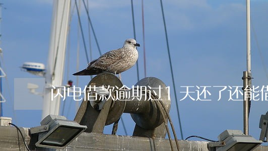 闪电借款逾期过1天还了还能借 闪电借款逾期过1天还了还能借