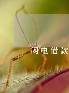闪电借款逾期过还能借吗 闪电借款逾期过还能借吗