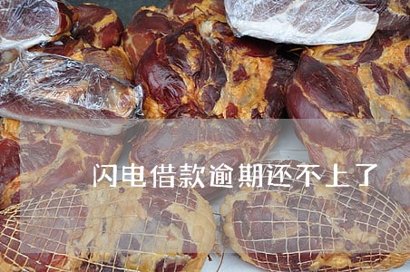 闪电借款逾期还不上了 闪电借款逾期还不上了