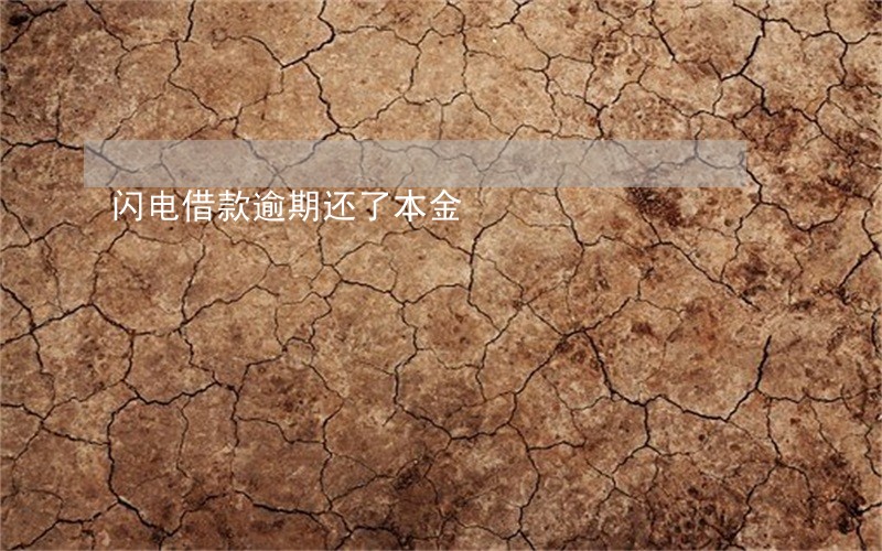 闪电借款逾期还了本金 闪电借款逾期还了本金
